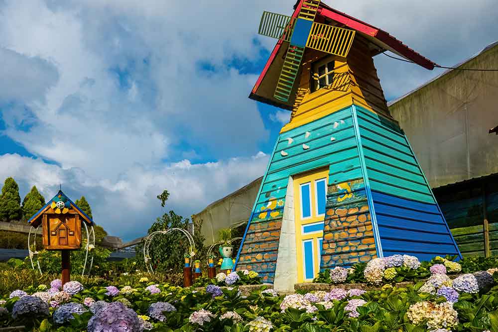 Image of Dubai Miracle Garden