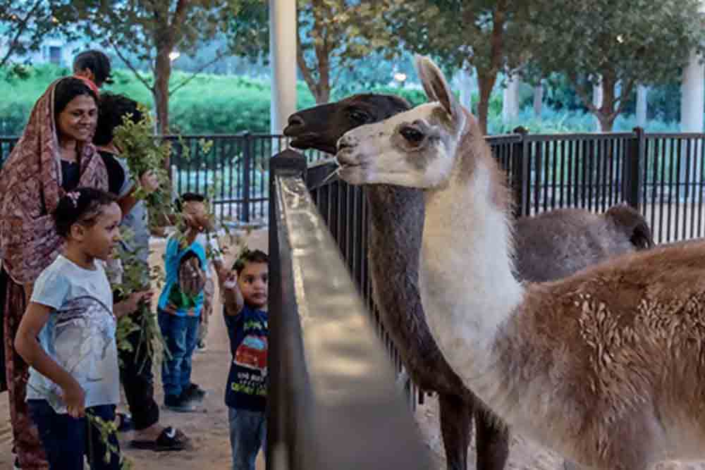 umm al emarat park abu dhabi 