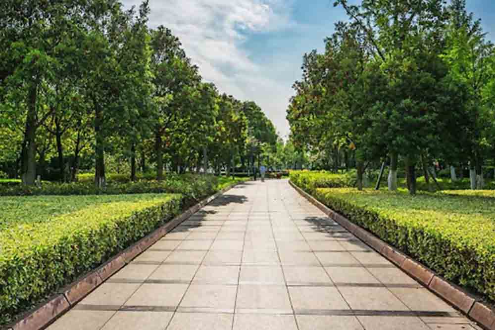 beautiful pathways at delma park in abu dhabi 