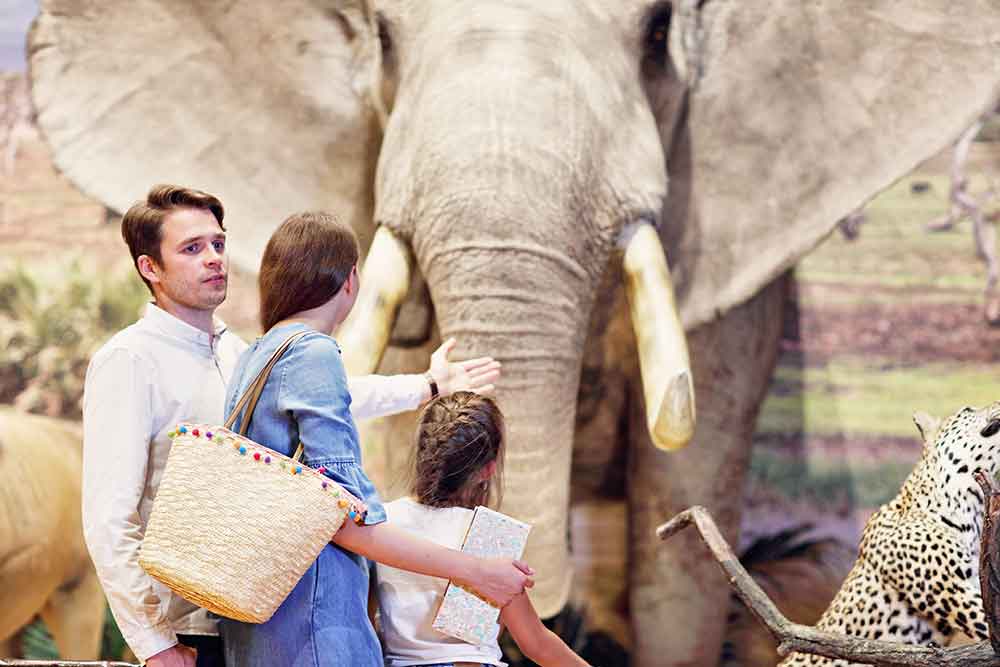 People with elephant at Emirates Zoo