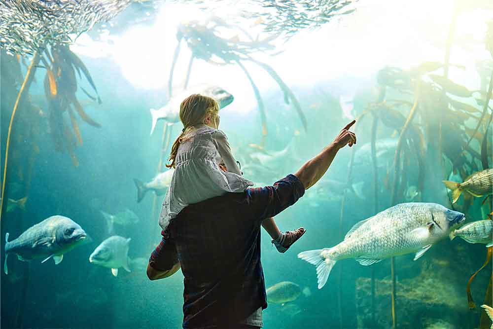 Son and father at Seaworld in Abu dhabi