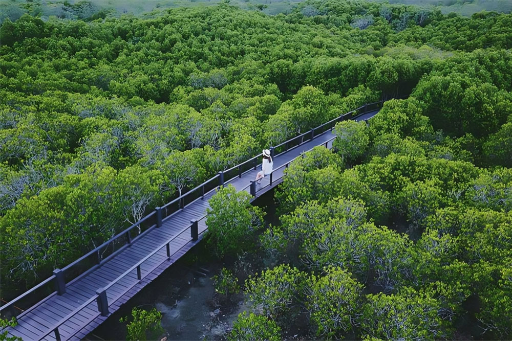 Tourist relaxing on the bridge with greenery landscape, drone perspective
