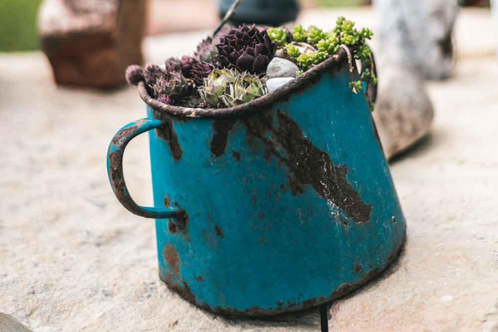 Rusty Pot with Succulent Plant