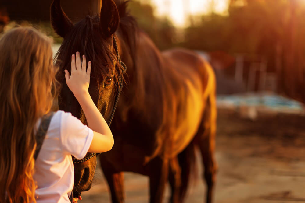 Horseback riding 