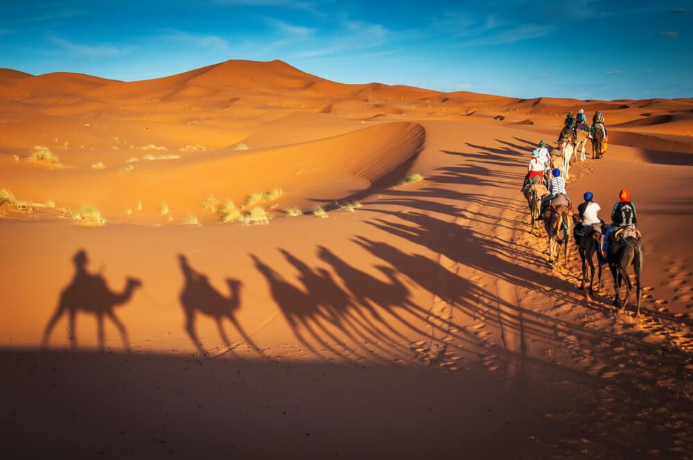 Abu Dhabi Desert Safari