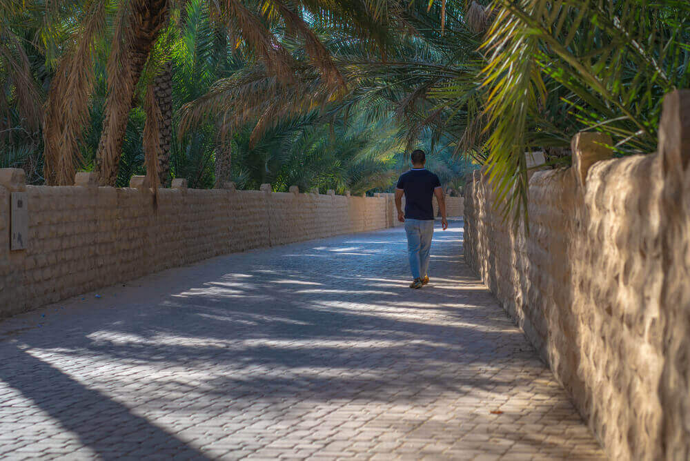 Al Ain Oasis 