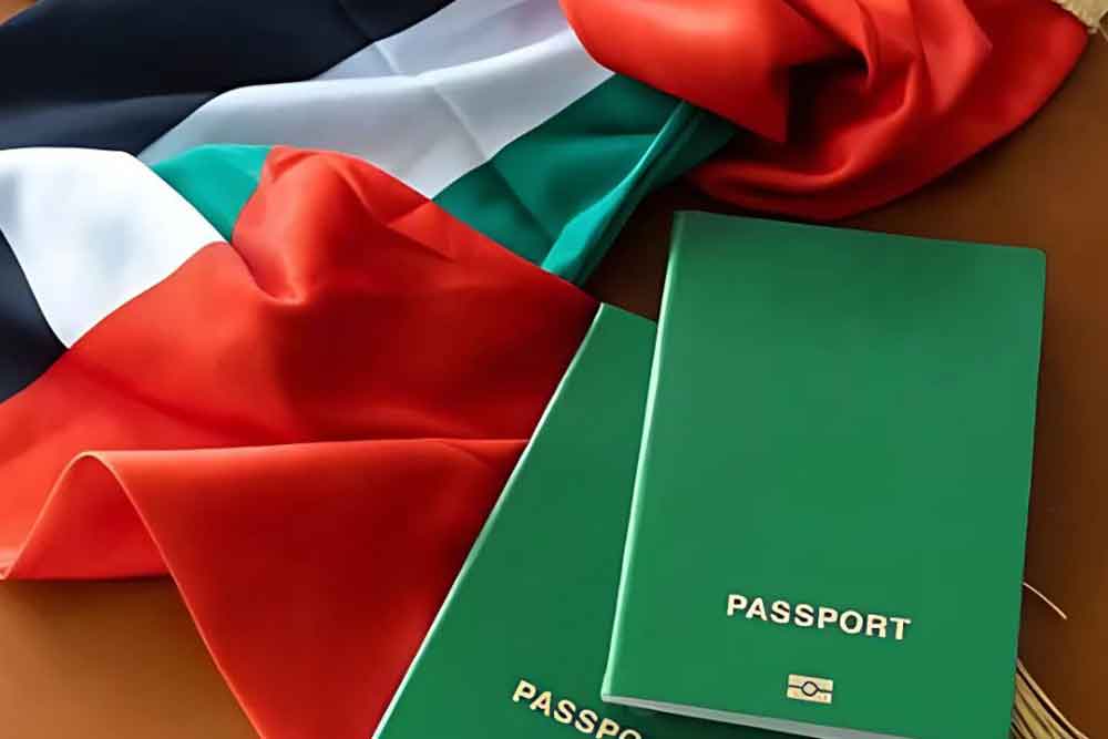 Process to apply for a green visa in the UAE