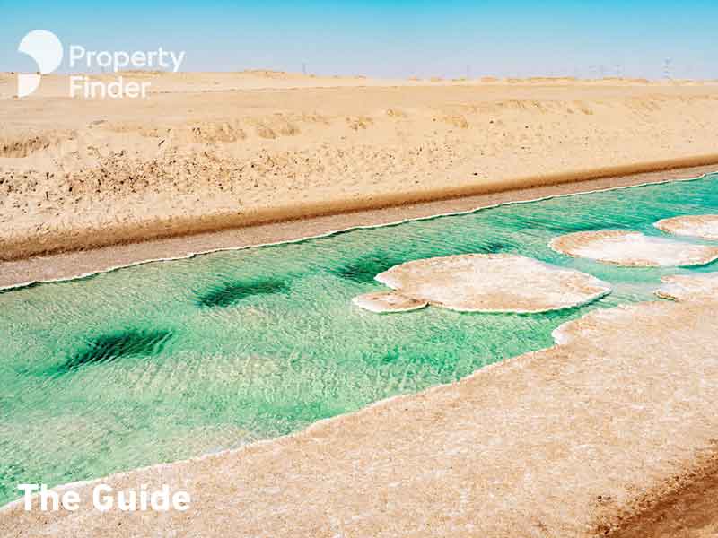 All You Need to Know About Abu Dhabi Salt Lake