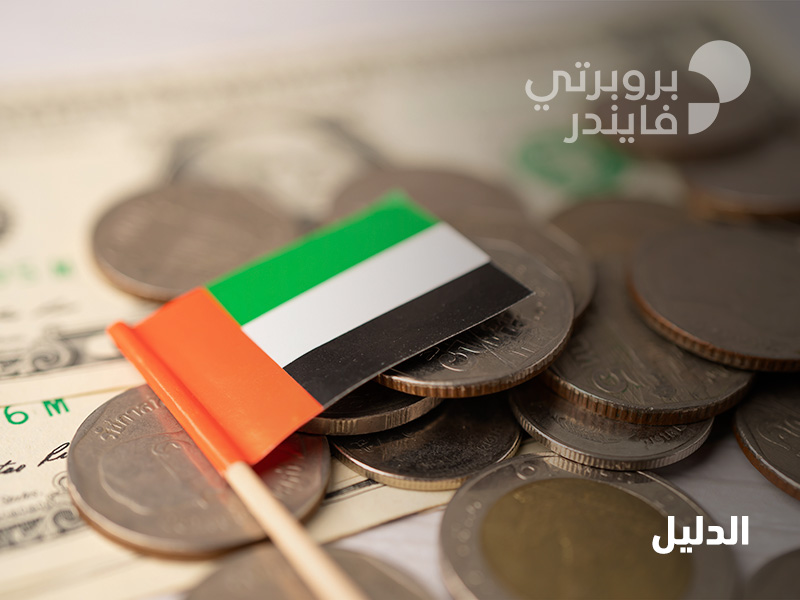 الضريبة في الامارات: نسبتها وأنواعها وطرق حسابها