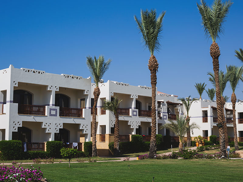 Al Warqa 1 Properties