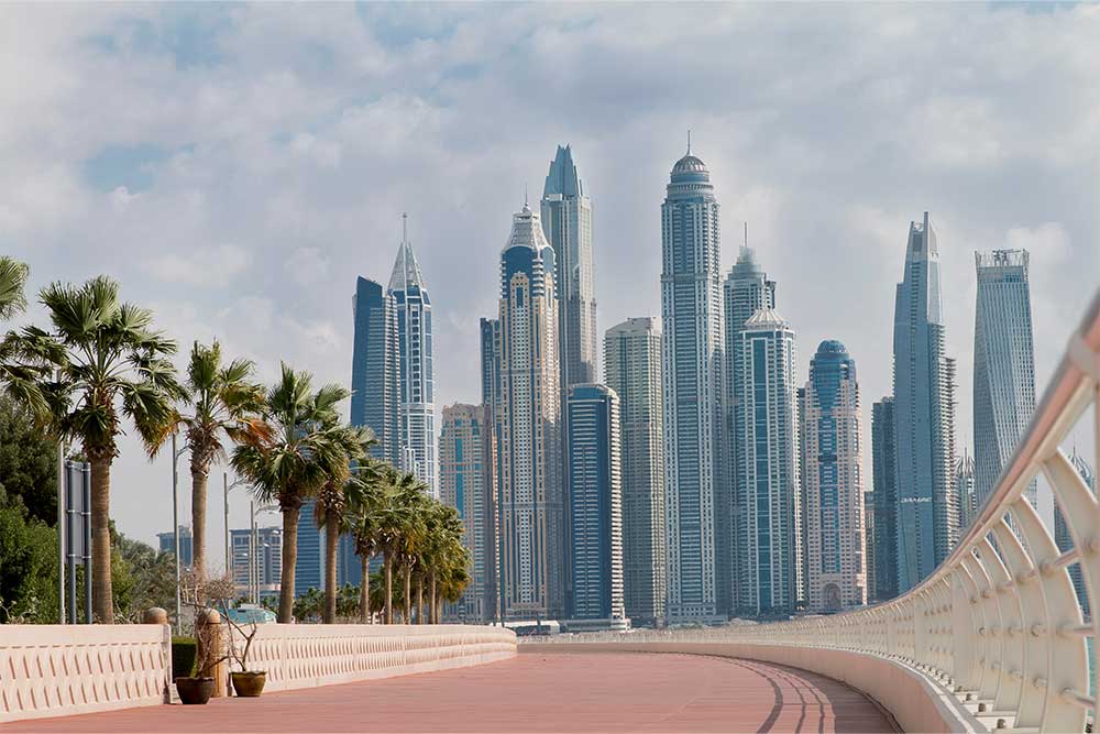 Skyscrapers and palm trees in Dubai 