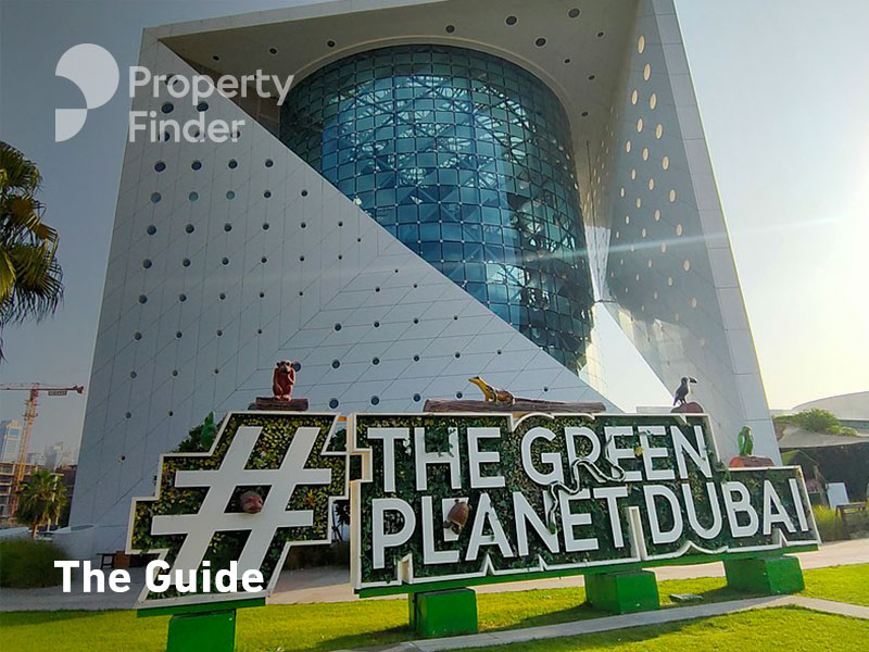 The Ultimate Guide to Green Planet Dubai