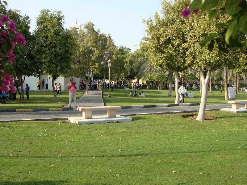 Sharjah National Park activities 