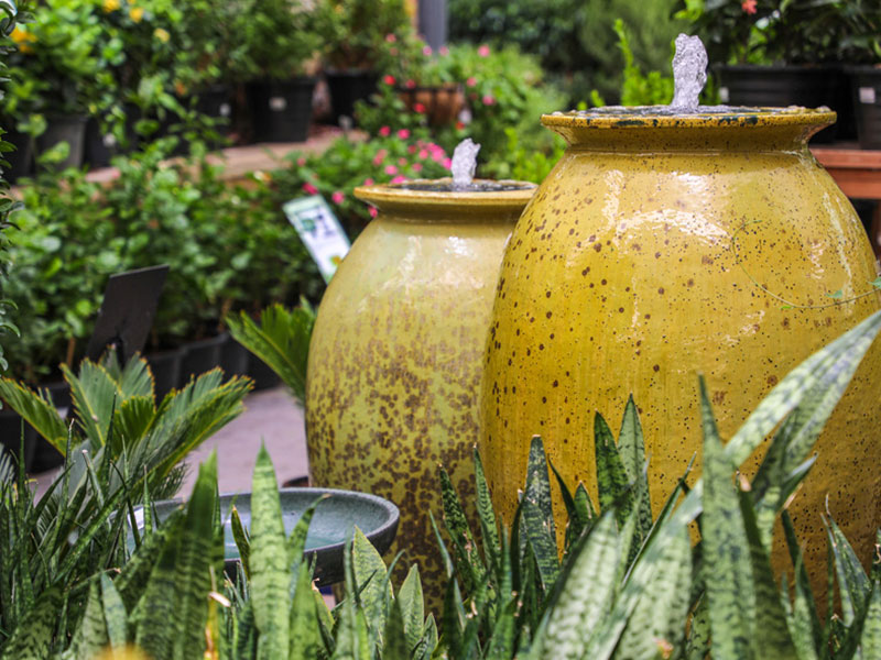 Dubai Garden Centre plants 