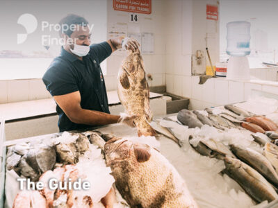 Ajman Fish Market Guide: Timings, Locations & More