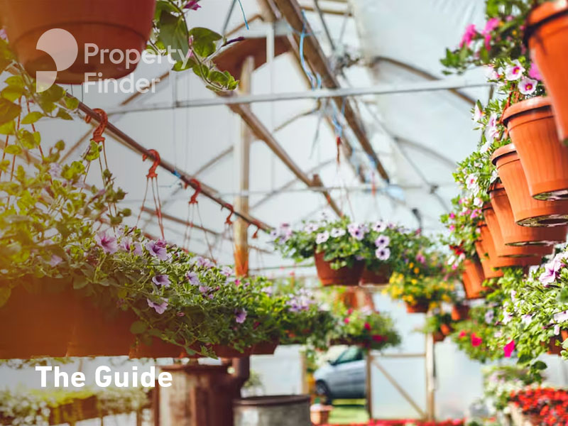 Dubai Garden Centre Inclusive Guide