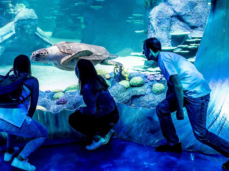 Dubai Aquarium & Underwater Zoo 