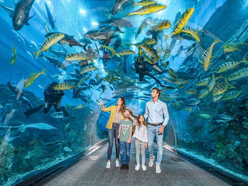 Dubai Aquarium & Underwater Zoo