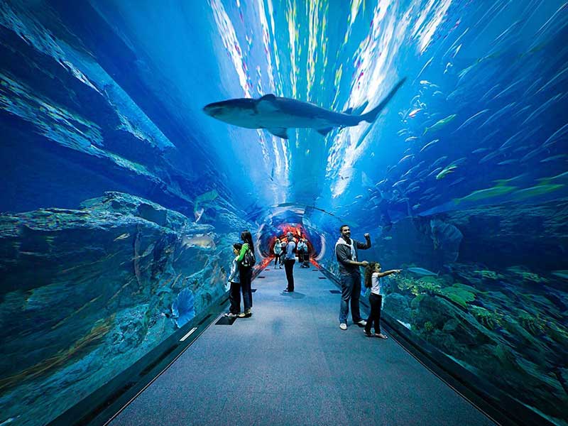 Dubai Aquarium tunnel 