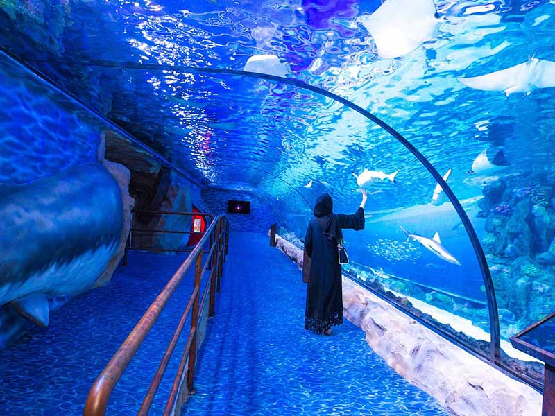 Dubai Aquarium sharks 