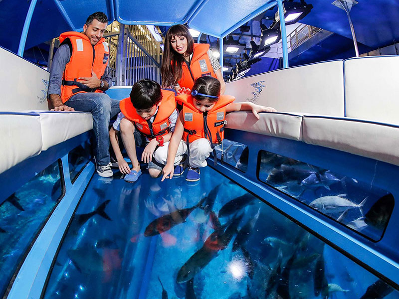 Glass Bottom boat 