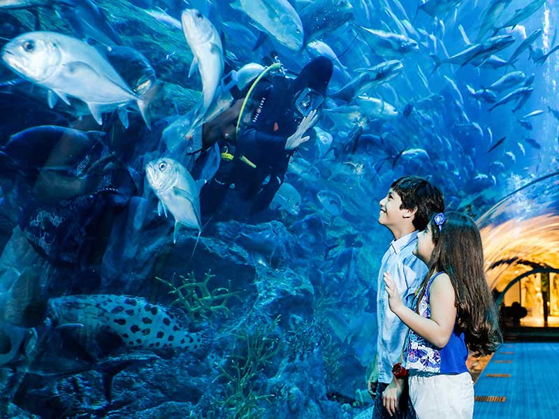 Dubai Fish Aquarium