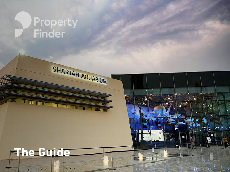 Sharjah Aquarium Full Guide