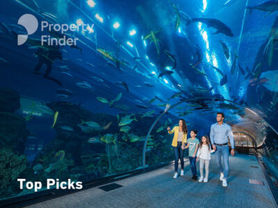 Discovering the Best Aquarium UAE Has