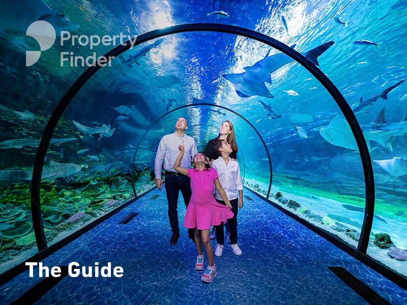 National Aquarium Abu Dhabi - A Magical Underwater Experience