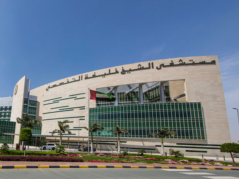 Sheikh Khalifa Hospital RAK