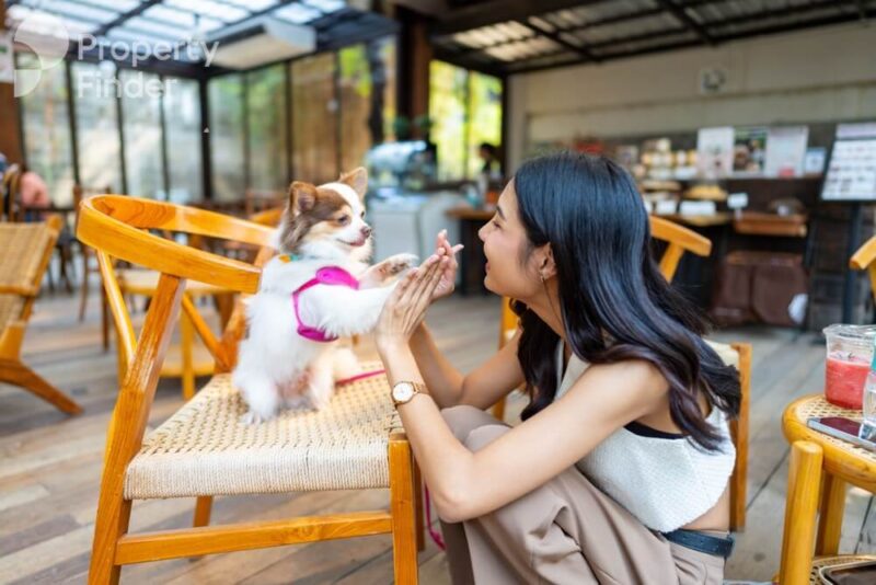 Pet Friendly communities in Dubai