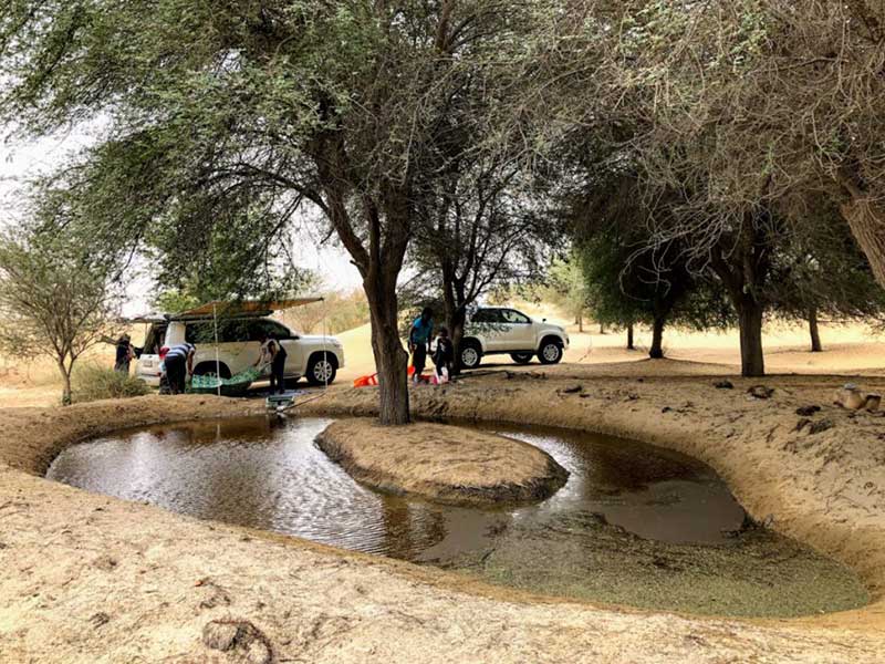 زوار بحيرة القدرة 