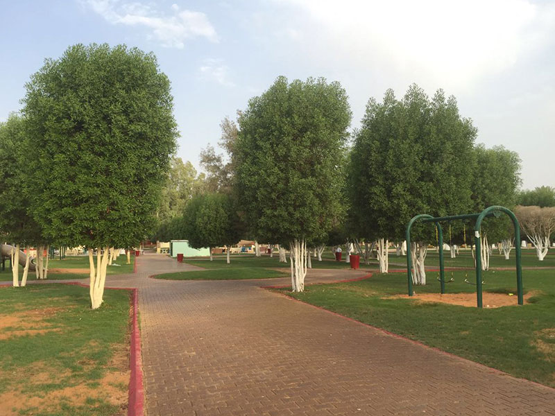 حديقة المطار الجديد ابوظبي
