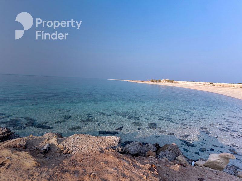 Dalma Island Abu Dhabi - A True Hidden Gem 