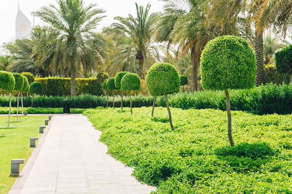 landscaping in uae