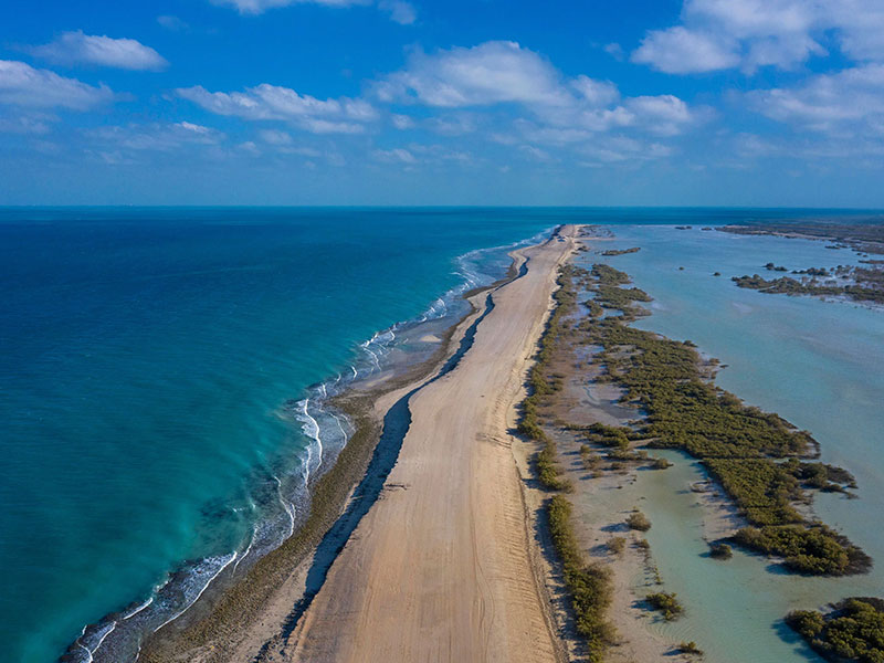 Sir Bani Yas Island