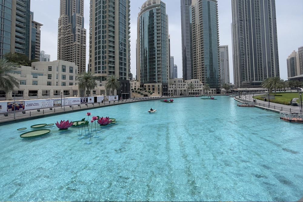 Blue waters with surrounding city buildings.