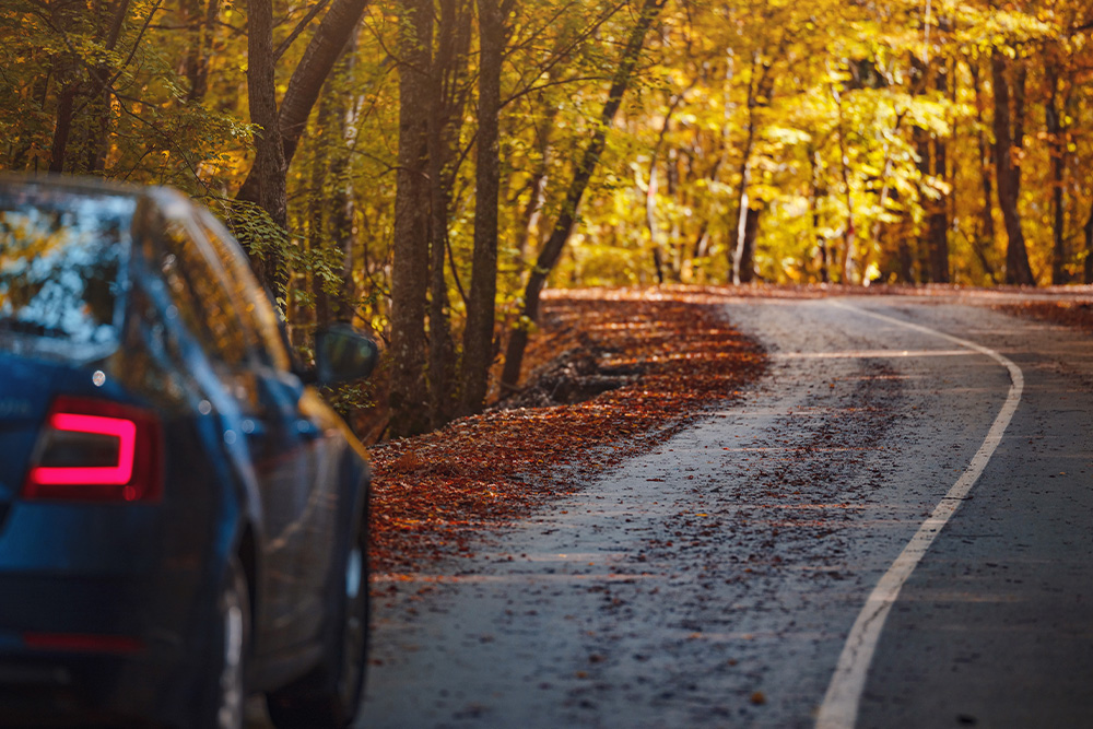 Car on road