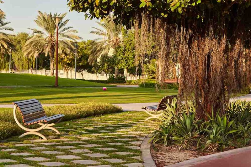  jogging with friends at the park in deira