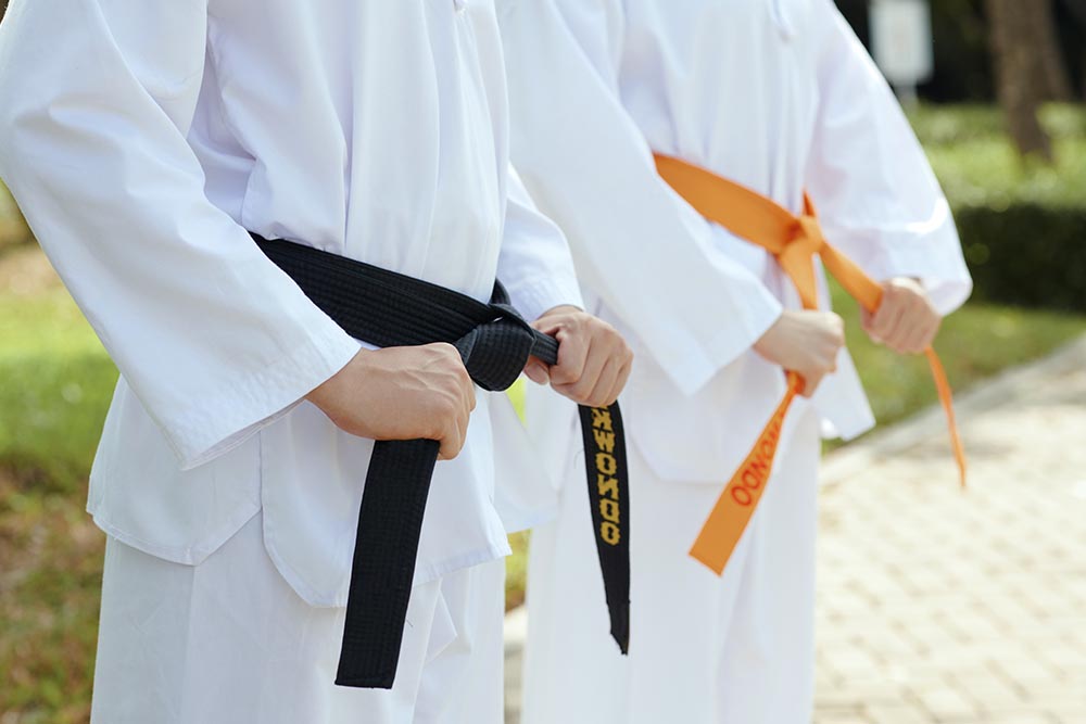 Black and yellow belt 