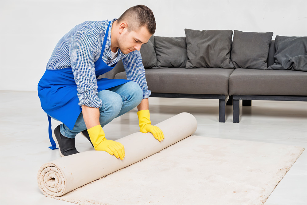 A professional carpet cleaner rolling the carpet