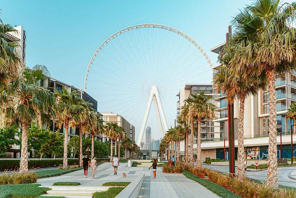 An image of a walking track with the eye of the emirates in the background