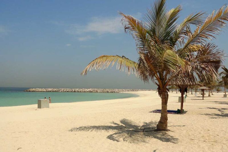 Palm trees on a sandy beach 