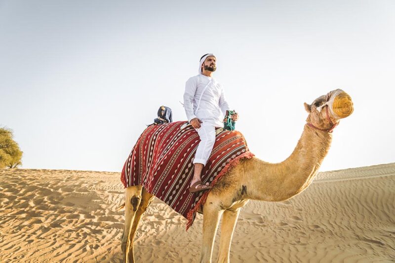 Man on a camel ride in Dubai 