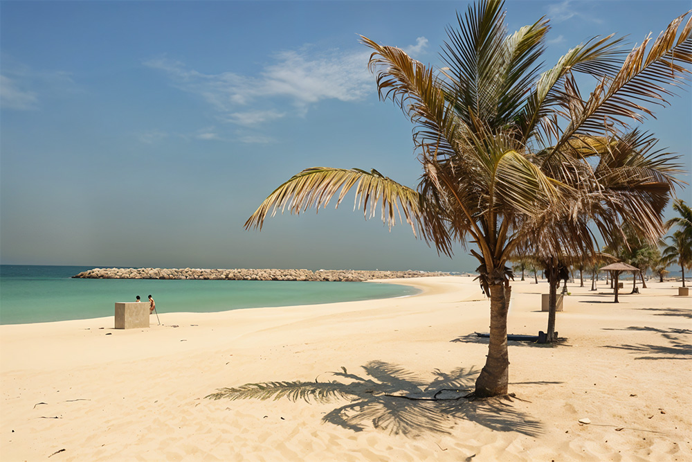 Palm trees on a sandy beach 