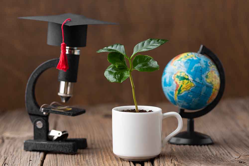 An image of a microscope with a convocation hat, plant and a globe 