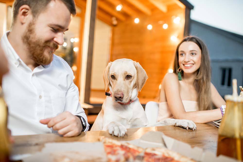 Pet-Friendly Restaurants in Dubai