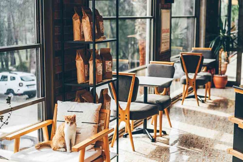 Cosy interior of a top coffee shop in Abu Dhabi