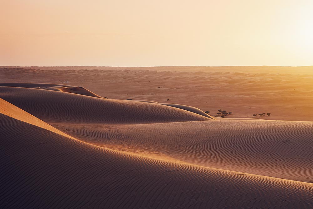 Desert landscape of Umm Al Quwain