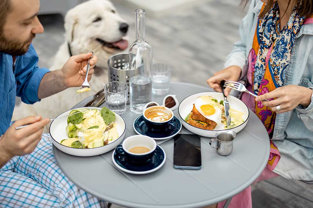  pet in the restaurant of Dubai